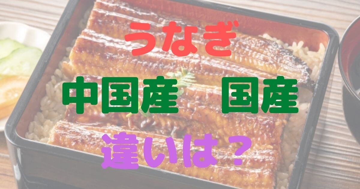 中国産うなぎと日本産うなぎの違いは何ですか？